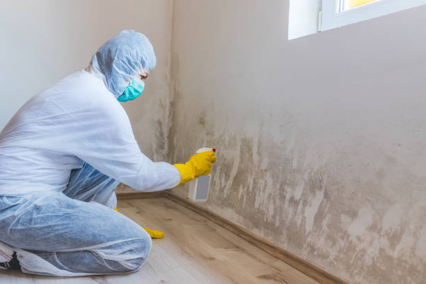 Licensed Mold Inspection And Testing service in Farmville, NC - Mold Remediation HQ